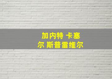 加内特 卡塞尔 斯普雷维尔